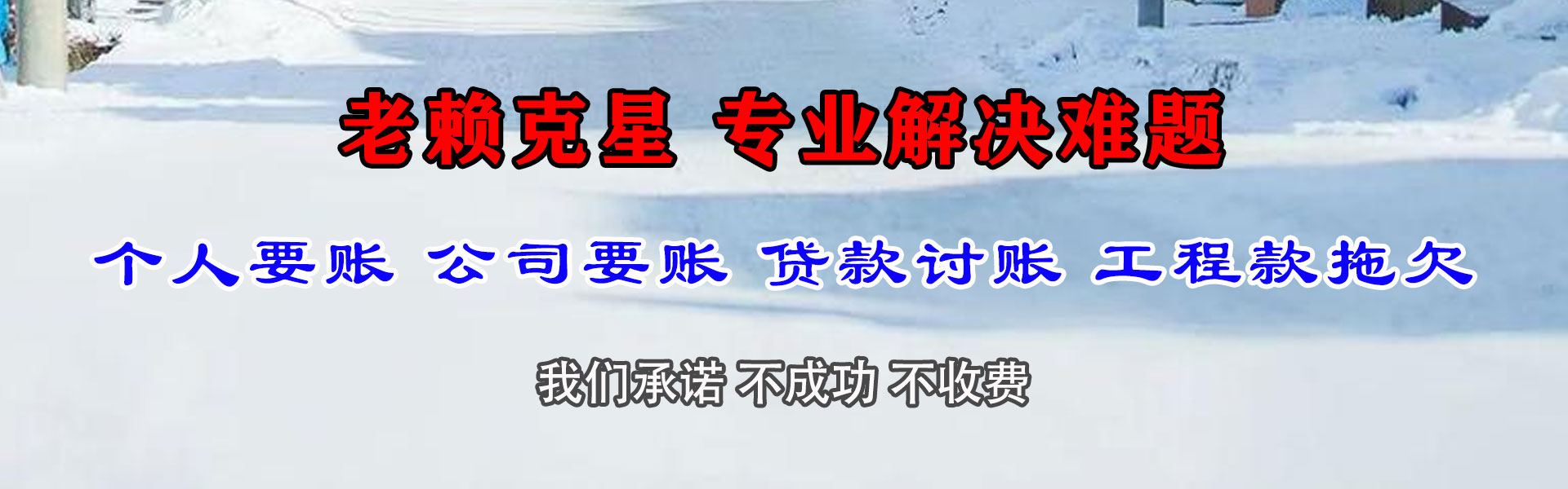滨海新区追账公司